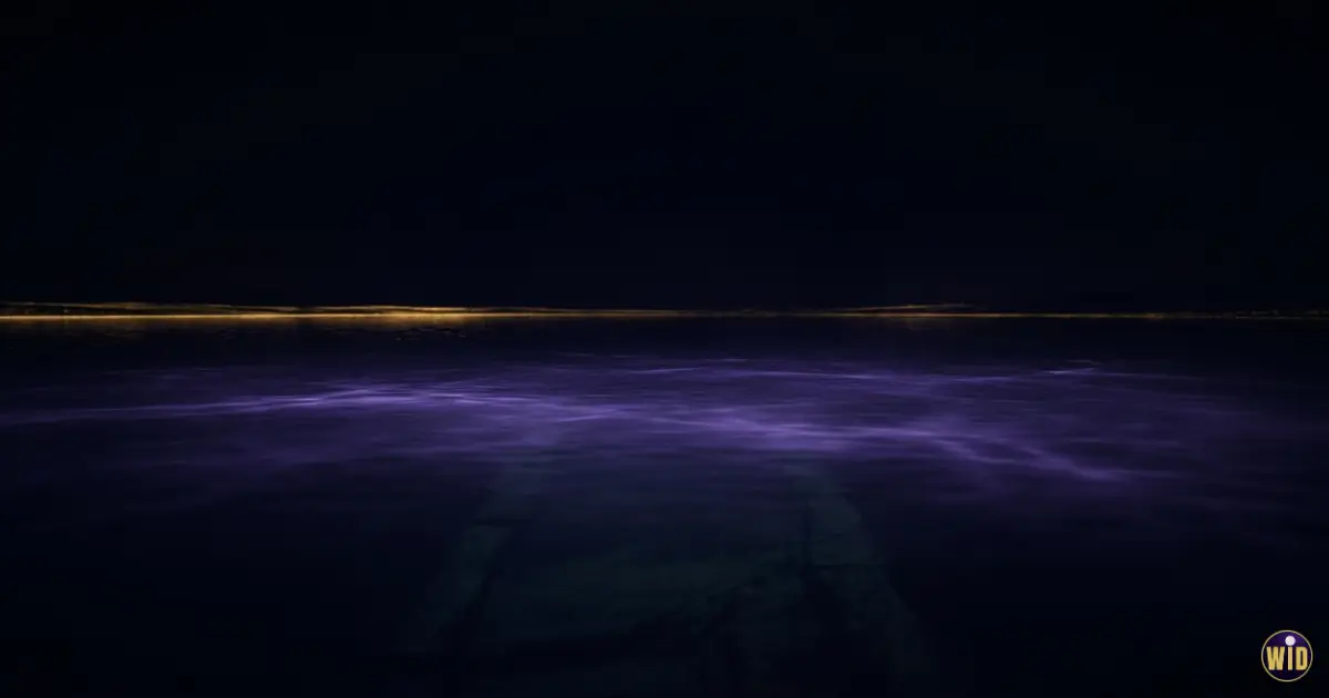 A still dark lake at night reflecting violet light toward an invisible horizon, evoking dreaming of water